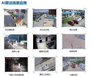AI赋能全场景管控|倍特威视工人操作合规监测系统重塑安全管理新范式 3 工地IA算法